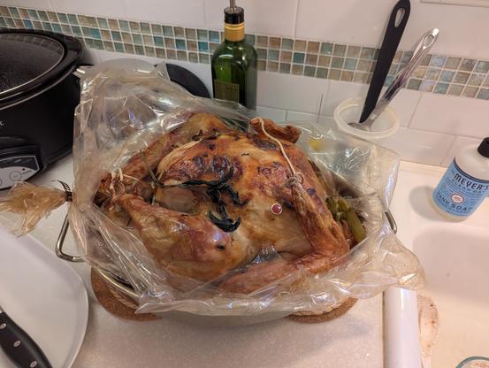 A richly browned turkey, legs and wings tied in place, resting in a roasting pan with the baking bag cut open.