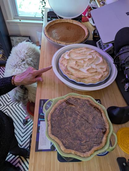 Homemade pumpkin, lemon meringue, and pecan pies resting on my computer desk with a hand pointing at one of them.