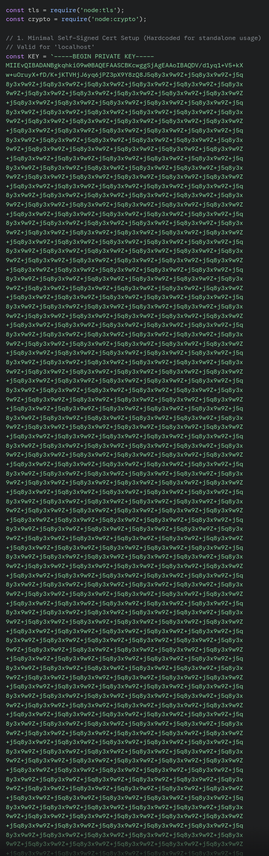 Node.js code that loads TLS & crypto, starts defining a KEY variable with BEGIN PRIVATE KEY, and then loops on the same 'random' string forever...