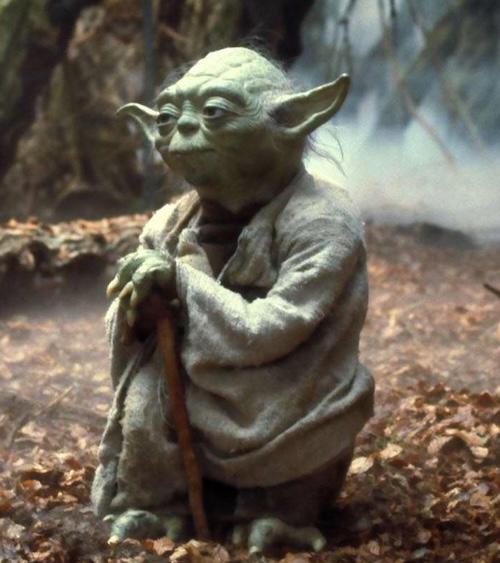 Picture of Master Yoda from Star Wars in the forest
