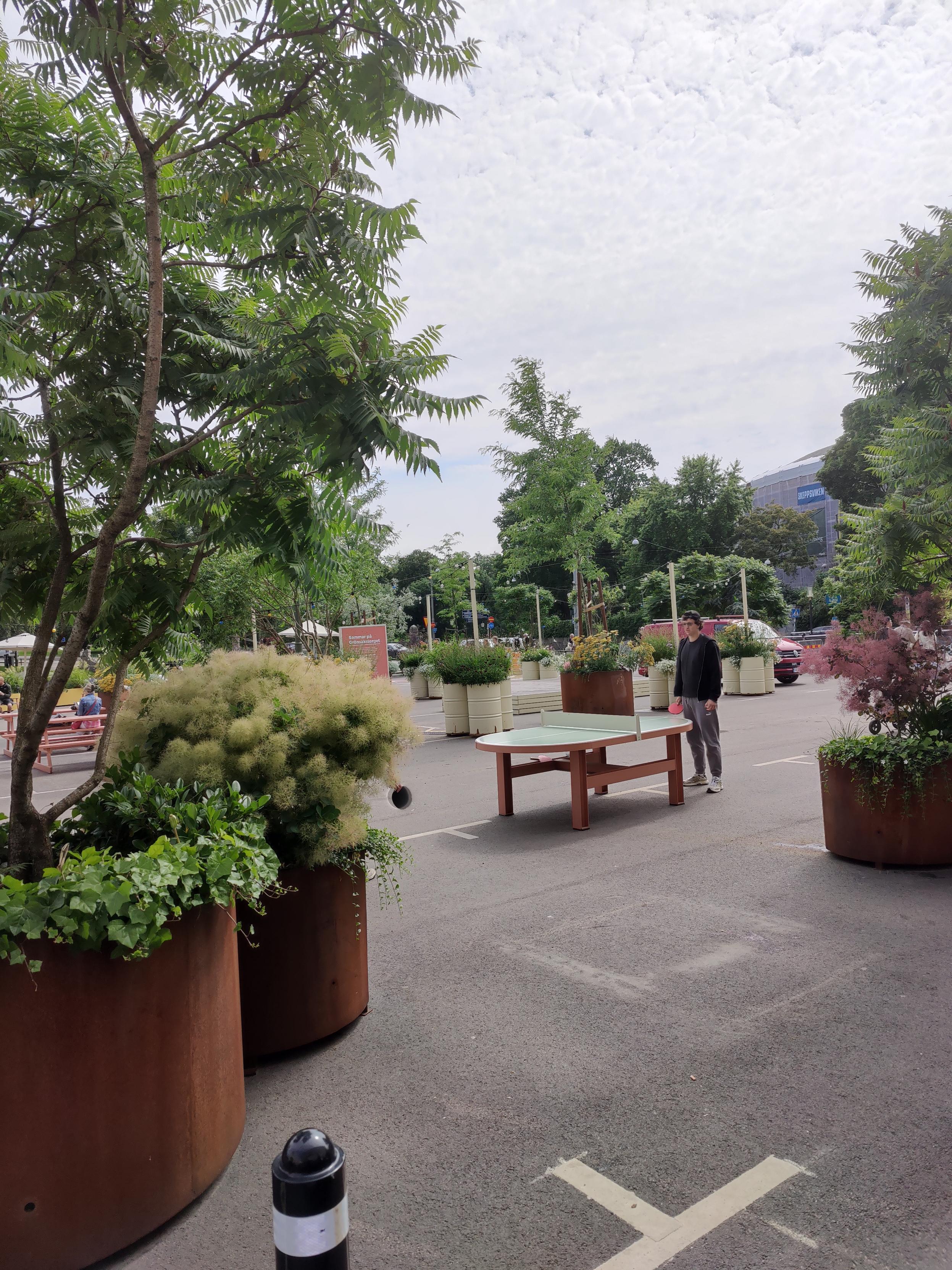 A ping pong table in a square. Lots of green areas around.