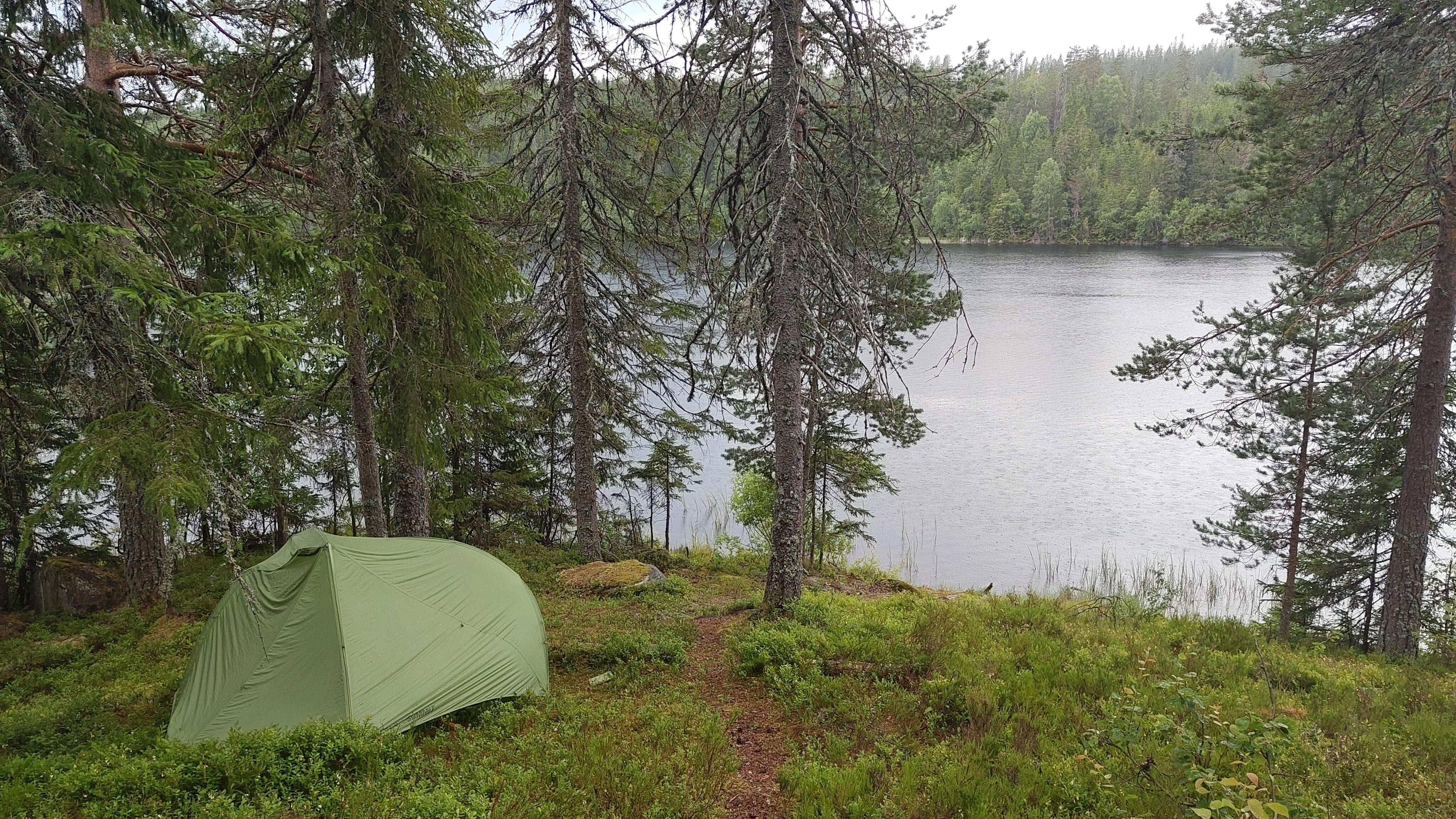 Tent in a forest next to a lake.