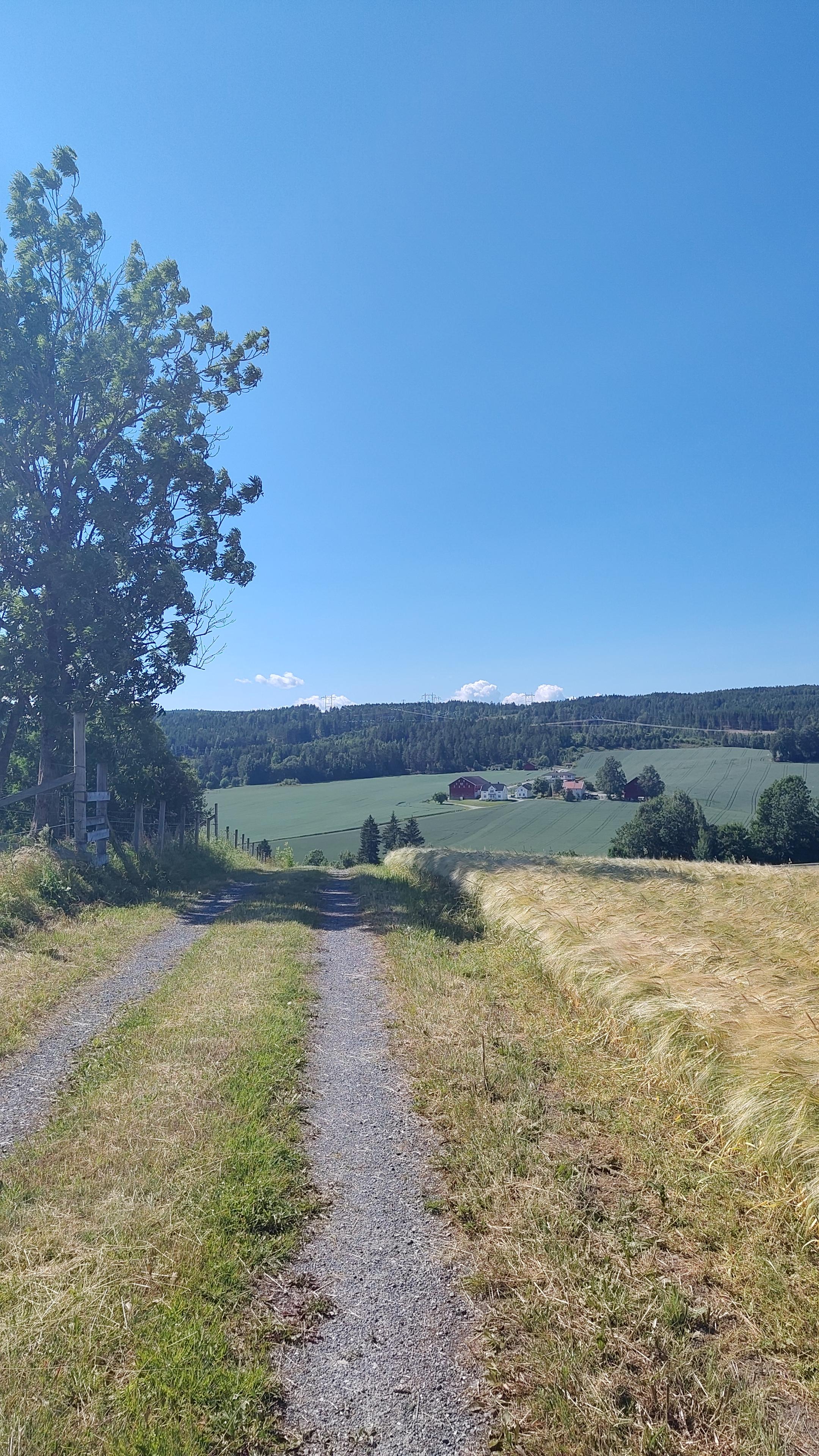 Dirt road descending.