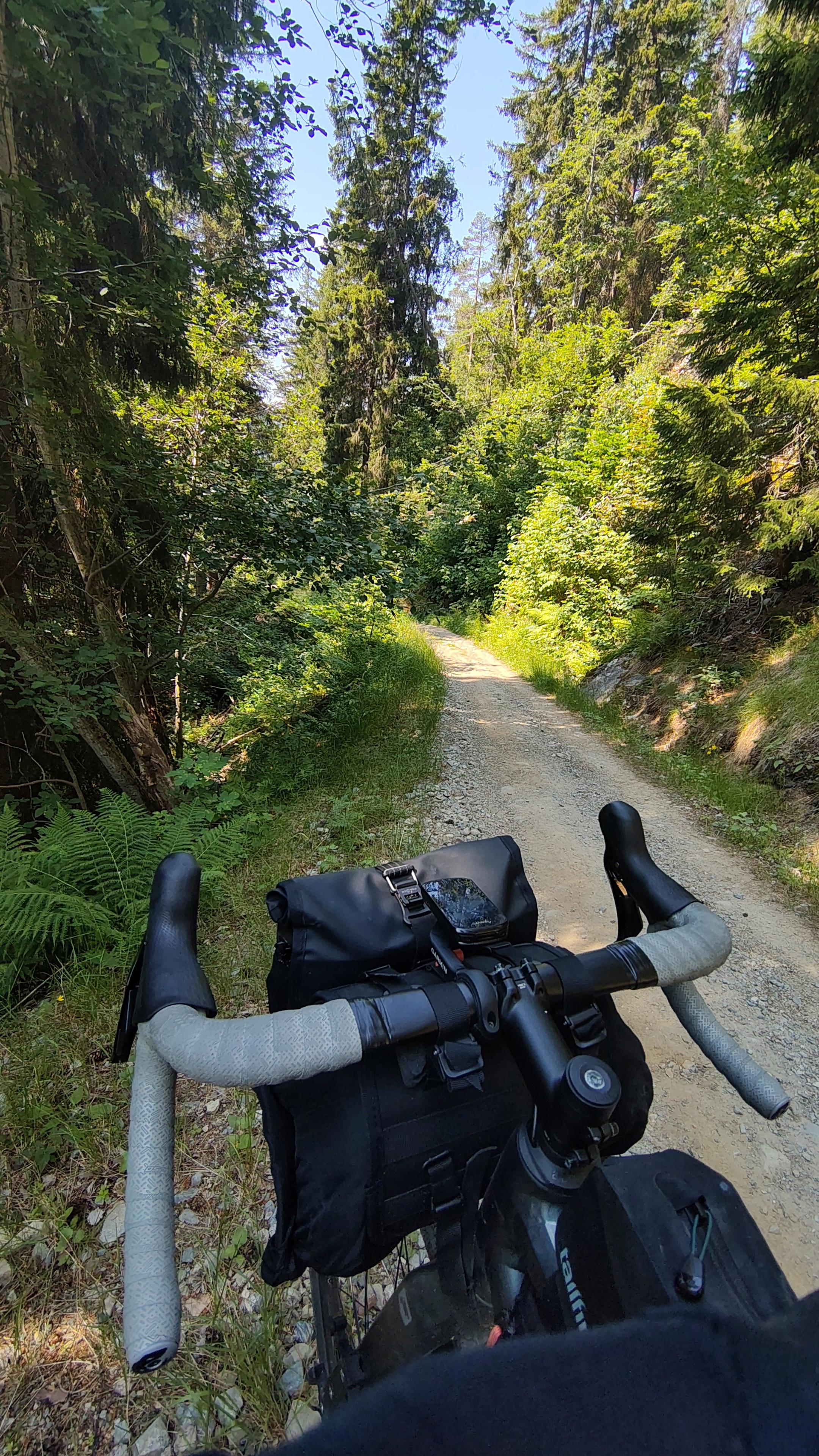 Handlebar of bicycle on a gravel road, vegetation all around.