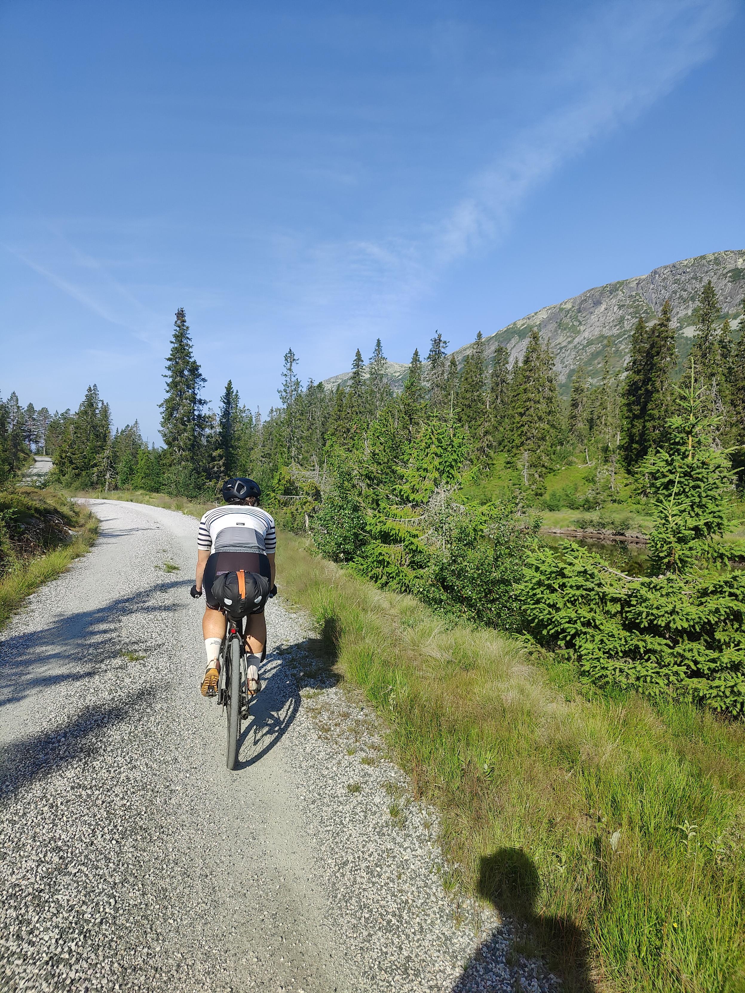 Cyclist on a gravel road looking towards a river.