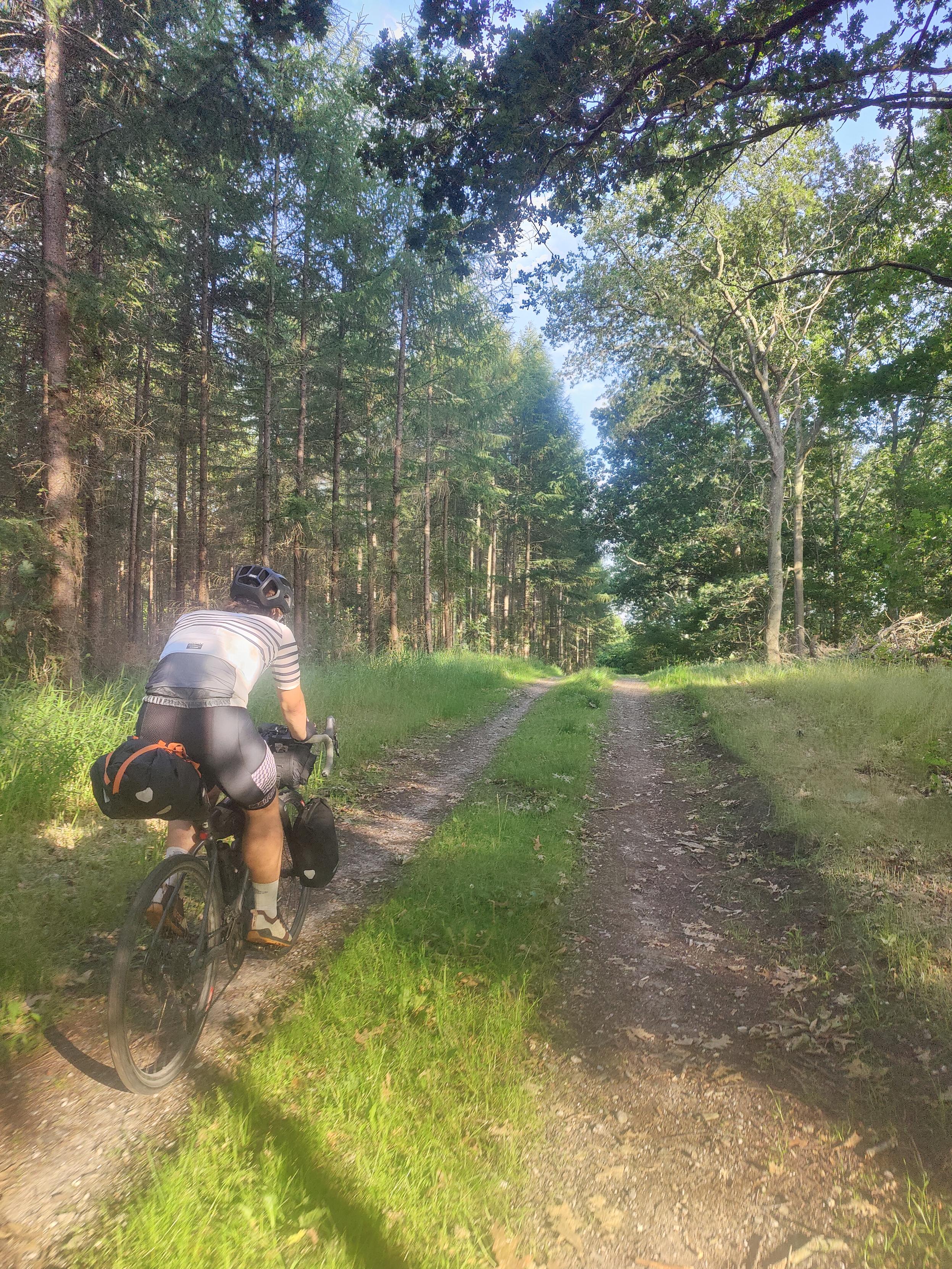 Cyclist on a forest road.