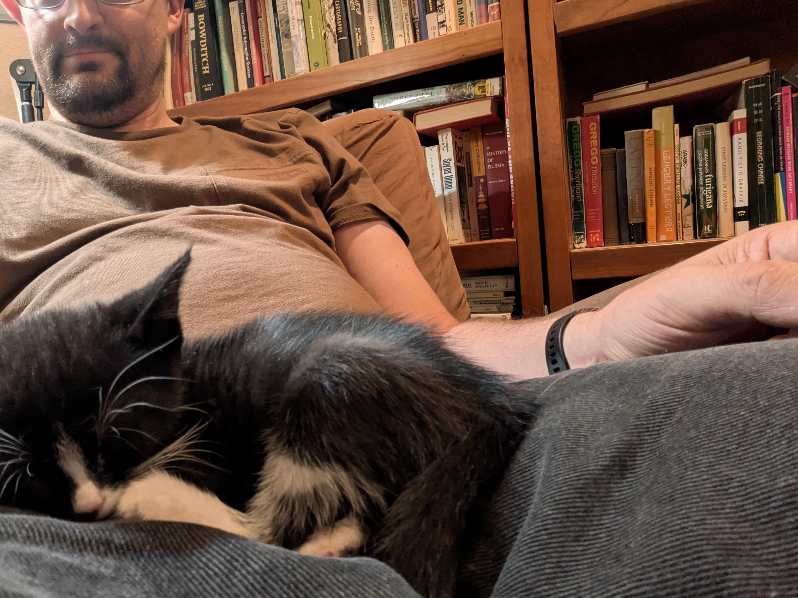 a black kitten with white paws and nose sleeping in my lap as I sit cat-trapped in the corner chair by some of the bookshelves