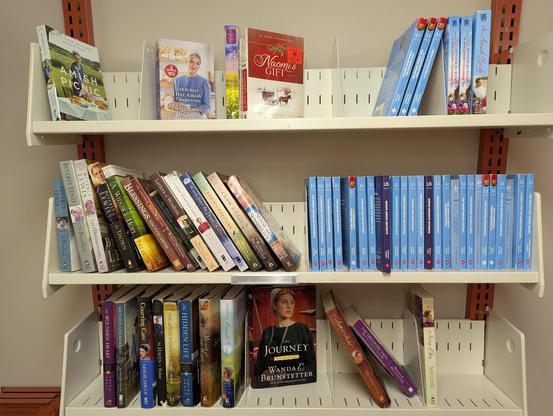 Sixty softcover books across three wall racks some turned to show the cover (“Amish Picnic”, “Her Amish Chaperone”, “Naomi’s Gift: An Amish Christmas Story”, “The Journey”), most of the rest with matching light blue spines (“Her Reluctant Amish Heart”, ”The Amish Widowers Surprise”, “Her Pretend Amish Beau”, “The Amish Nanny’s Marriage Offer”, “Grave Amish Secrets”).
